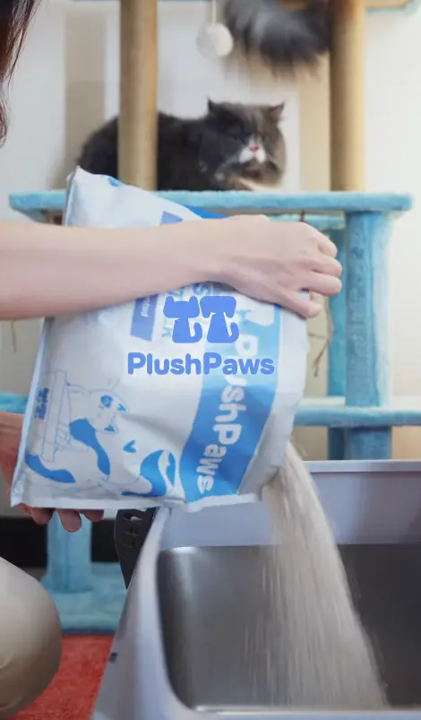 PlushPaws - Short-form Ads for Instagram